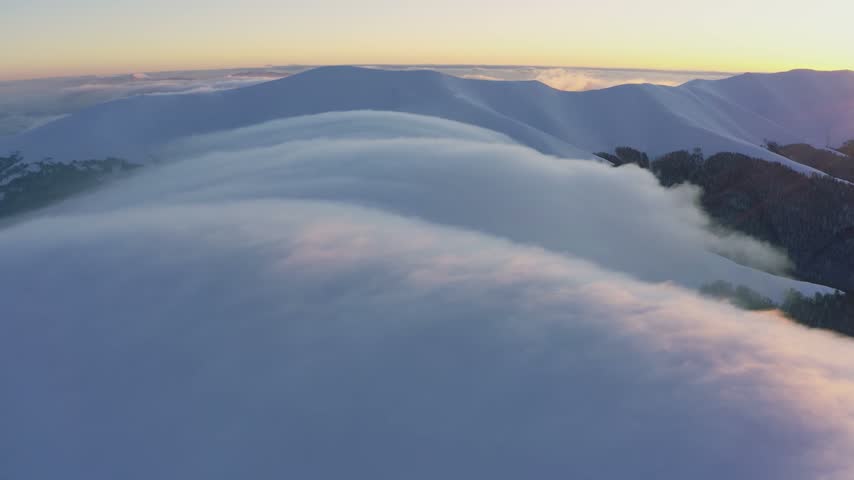 Cloud waves gently and slowly flow over the tops of snow-capped mountains covered with spruce forests at a cold sunset