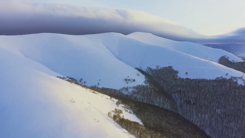 High snowy mountain covered with evergreen fir trees on a sunny cold day