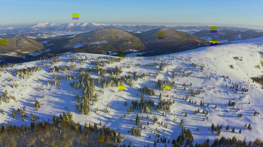 High snowy mountain covered with evergreen fir trees on a sunny cold day