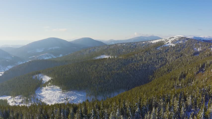 High snowy mountain covered with evergreen fir trees on a sunny cold day