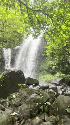 a small clear waterfall on rocks and trees