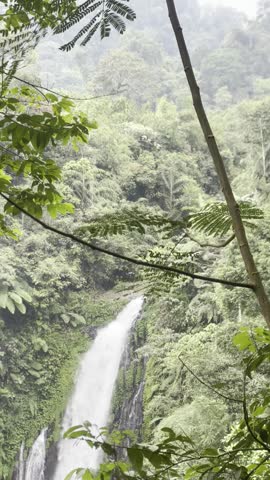 a big waterfall in the forest