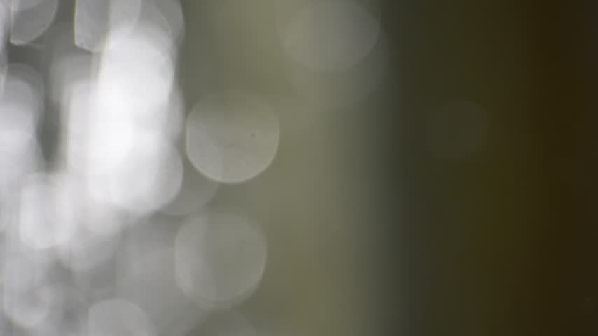A dreamy view of water flowing through the surface of the pond.