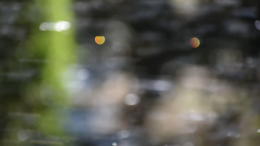 A dreamy view of water flowing through the surface of the pond.