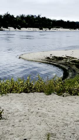 A curved riverbank. Trees in the background. A beautiful river landscape. A camping spot.