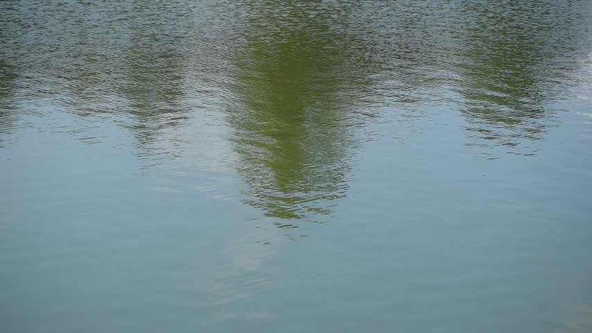 Ripples of waves forming on the surface of the shallow lake water.