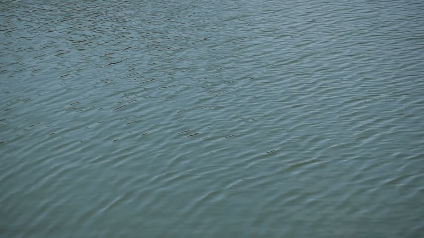 Ripples of waves forming on the surface of the shallow lake water.