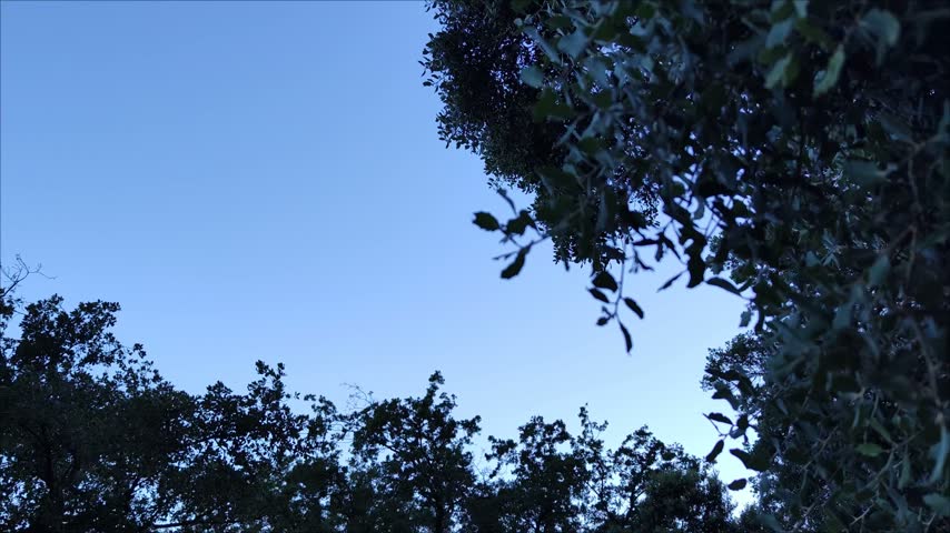 Dark nature landscape with sky starting to dawn