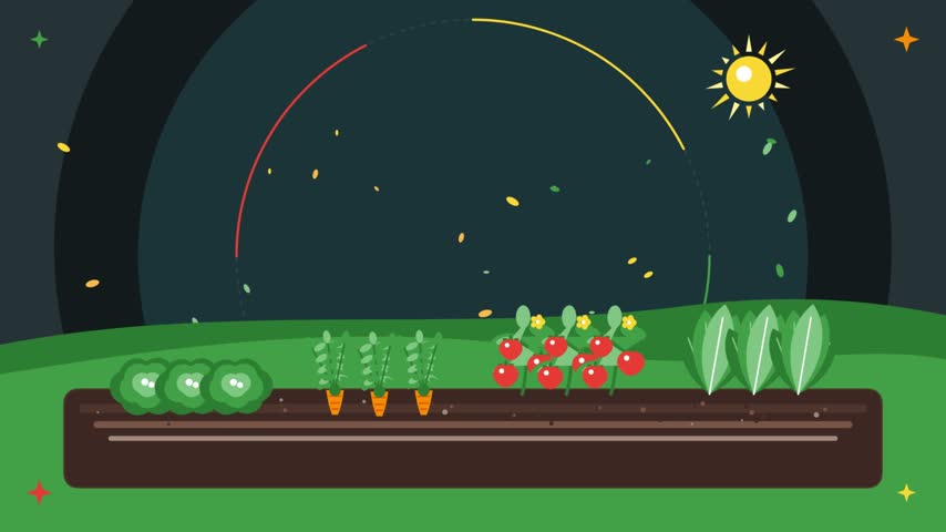Sunlight Moving Across a Growing Garden Bed
