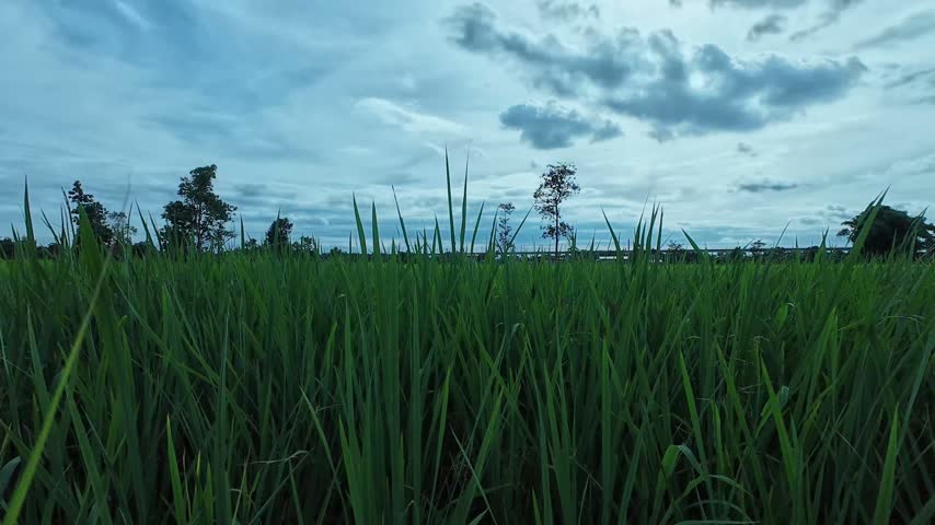 Green grass field under cloudy sky clouds nature