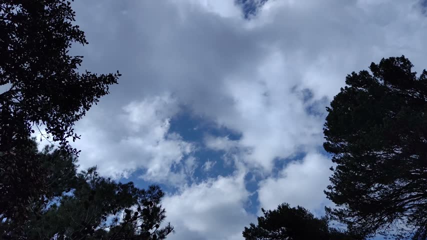The forest and clouds moving in the blue sky