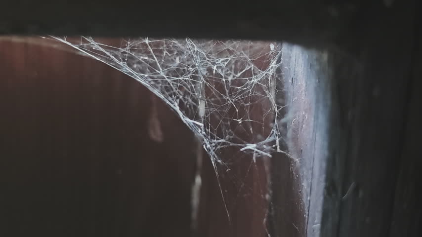 Detailed macro shot showing a complex and dusty old spiderweb built in a dirty and abandoned dark corner of a scary haunted house