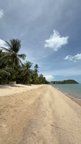Footsteps move along the sandy beach as palm trees sway gently in the breeze. The ocean sparkles under the sunlight and clouds drift in the sky.