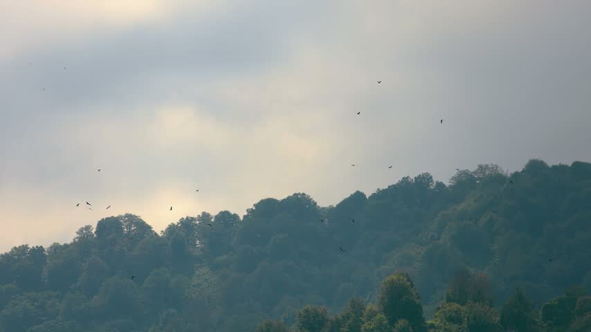 Dramatic Clouds Over Forested Hills at Sunset