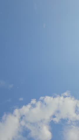 Birds flying free on a clear blue sky