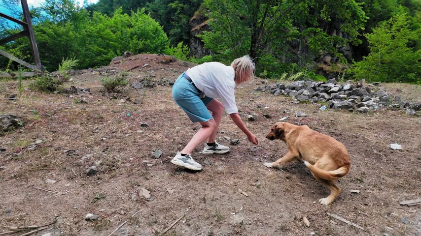 Young blonde woman gently stroking and feeding a homeless golden-colored dog on a patch of dirt surrounded by lush green trees, showing care and compassion for the stray animal