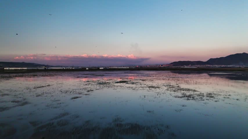 Aerial View of Flamingo Flock on Lake with Snow Capped Mountains at Twilight
