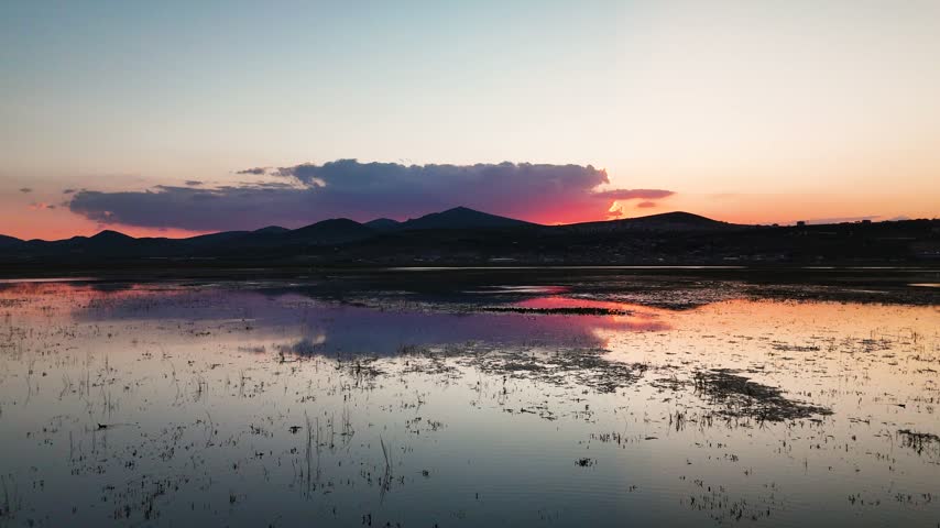 Wide Drone Shot of Flamingo Flock Scattering on Lake at Orange Sunset