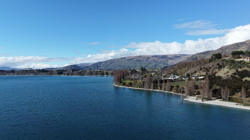 newzeland, wanaka tree, lake, mountain. cloud, 