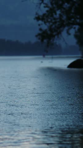 Dusk settles over calm lake waters. Raindrops ripple gently across surface. Dark silhouettes of trees frame the scene. Mood feels peaceful and contemplative. Ideal for scenes of solitude, meditation