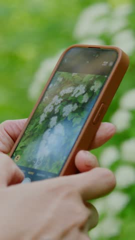 Hand holds phone, capturing greenery with blurred background. Fingers gently adjust screen, focused on nature. Ideal for travel, eco-apps, or outdoor photography content. Soft light enhances peaceful
