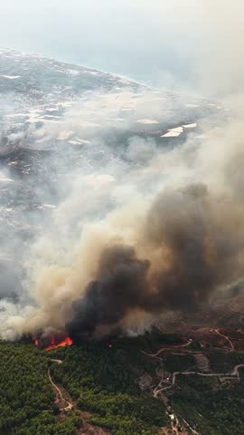 Vertical Video Wildfire Smoke Rising Over Forested Hills
