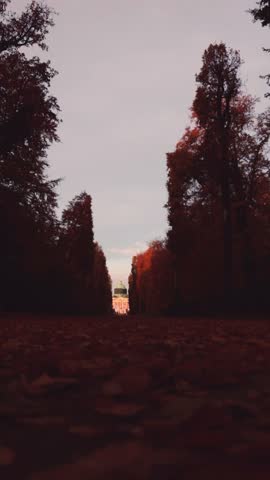 autumn, forest, red, brown, foliage