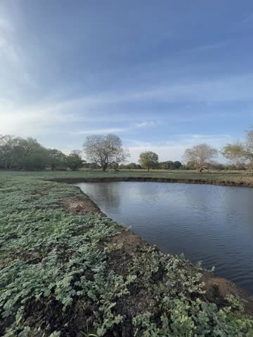 Scenic dried lake with exposed ground and surrounding natural landscape under a clear sky.