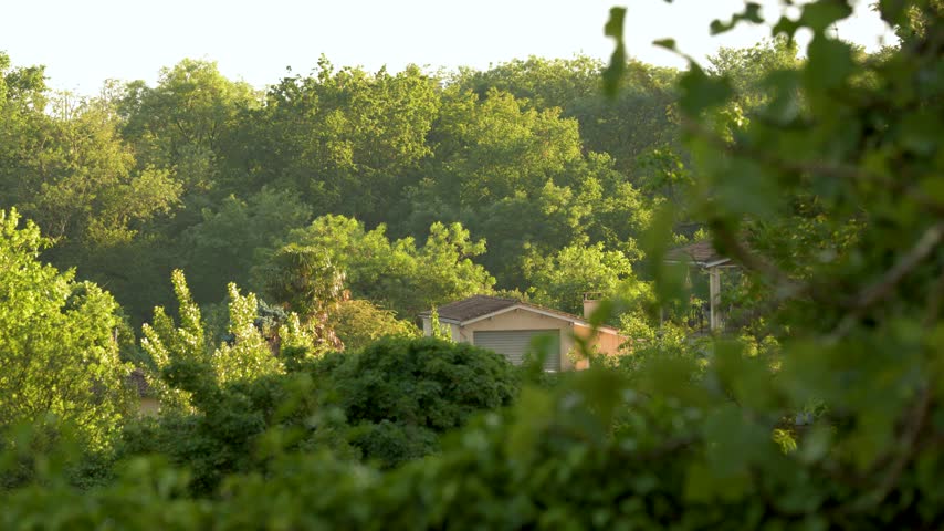 Houses with terracotta roofs nestled in dense green woodland bathed in bright sunlight.