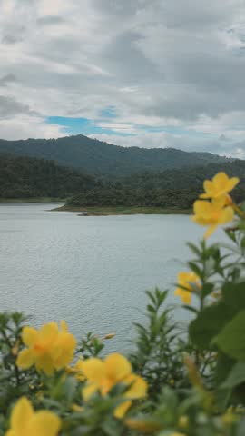 A serene landscape featuring a calm lake, dense green mountains, and bright yellow flowers in the foreground under a cloudy sky.