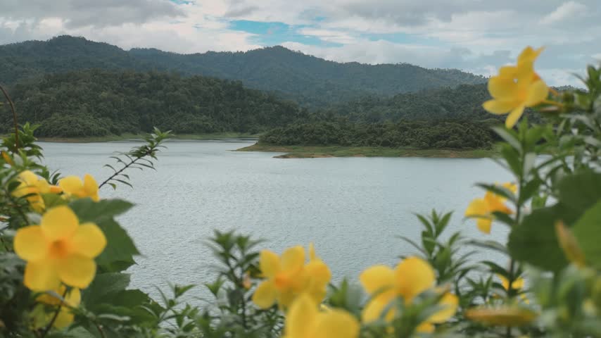 A serene landscape featuring a calm lake surrounded by dense green mountains under a cloudy sky. Yellow tropical flowers frame the scene.