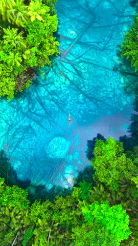 Adult man in a wooden canoe paddling across clear blue water over submerged trees, an aerial view at Paisupok Lake, Banggai, Sulawesi, Indonesia.