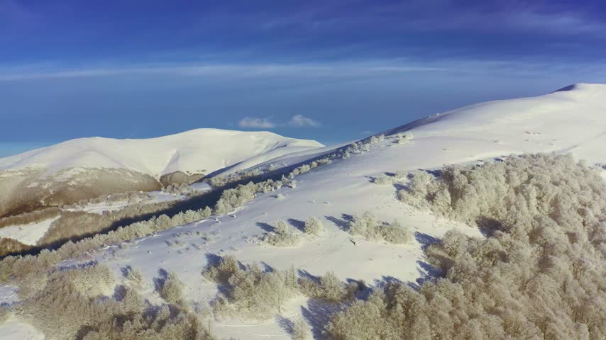 High snowy mountain covered with evergreen fir trees on a sunny cold day