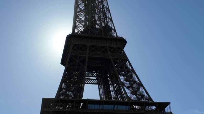 A bird flies past the Eiffel Tower