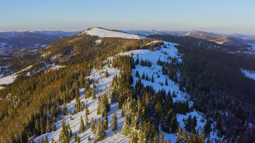 High snowy mountain covered with evergreen fir trees on a sunny cold day