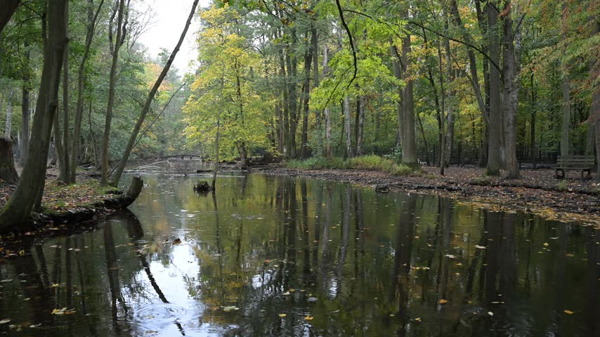 Serene rainy autumn river park with lonely bench and calm water reflections for eco wellness.