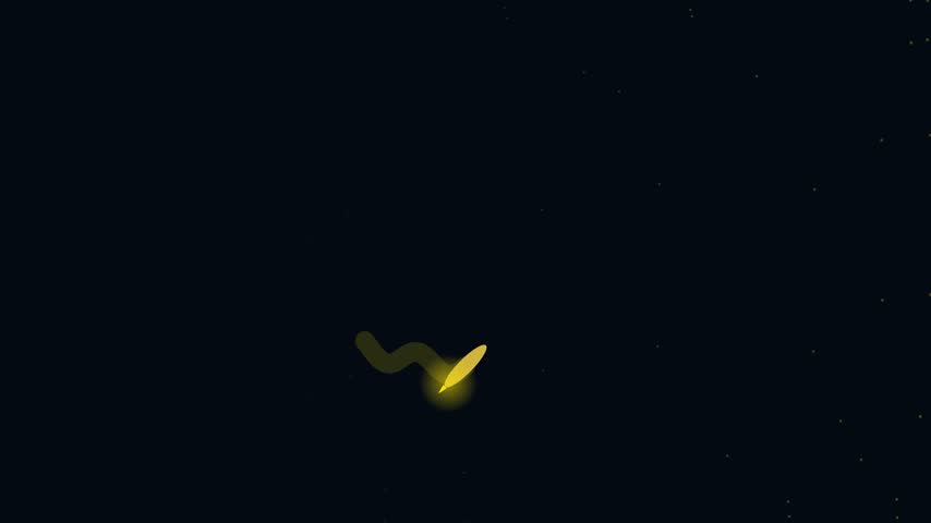 Animation of a glowing firefly flying through a dark night sky.