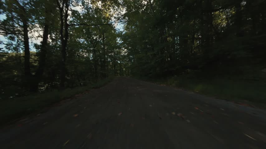 Serene tree canopy over a dirt road by New Croton Dam. Sunlight shines through showing a chase scene for nature, travel and background footage. The camera dolly in chasing another FPV drone.