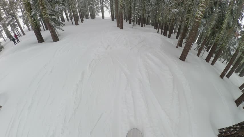 First-person POV of a snowboarder riding through snow-covered trees at Palisades Tahoe ski resort in California during winter conditions.