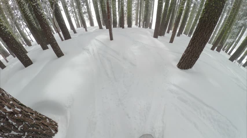 First-person POV of a snowboarder riding through snow-covered trees at Palisades Tahoe ski resort in California during winter conditions.