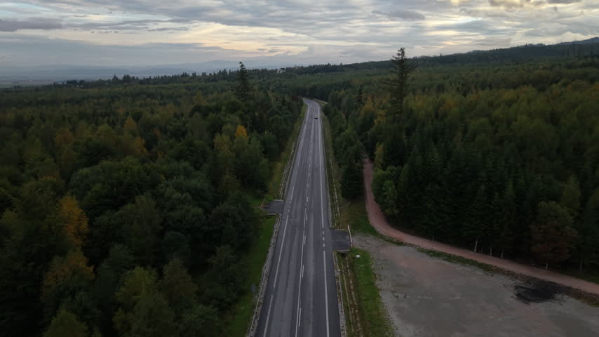 A long road with a single car winds through an expansive autumnal forest, captured from above beneath a cloudy sky.
