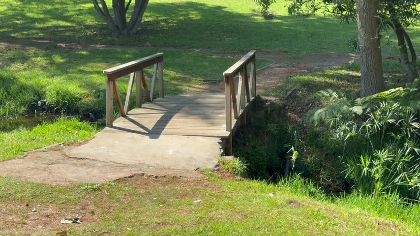 A small wooden footbridge with railings crosses a narrow stream in a park, connecting a concrete path to a grassy lawn, surrounded by trees, ferns, and dappled sunlight.