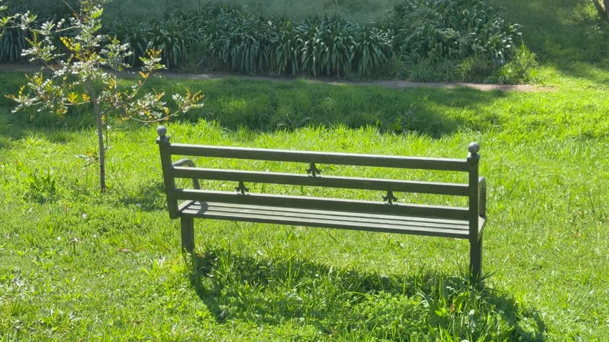 A park bench on a lush green lawn in a park.