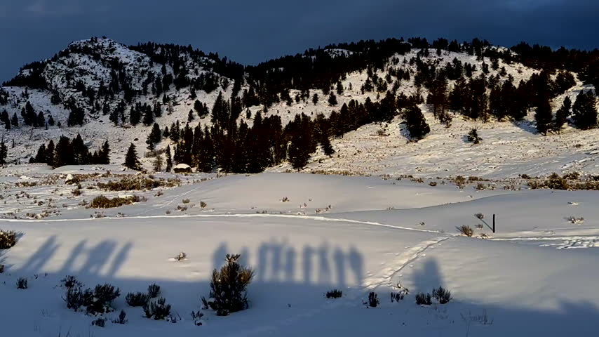 The Shadows of People Doing Funny Poses, Waving their Arms and Legs are seen against the Snow on a Beautiful Mountainside in Winter