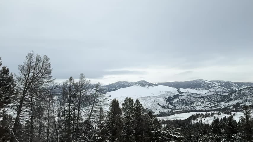 A Scanning Shot of Snowy Mountains in Yellowstone National Park in Winter, Showing Beautiful Scenery in a White Landscape