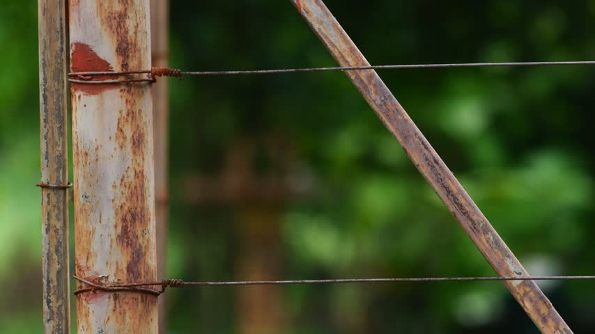 Rusty metal fence post with diagonal brace and taut wires against blurred green foliage, weathered industrial farm fence detail close-up