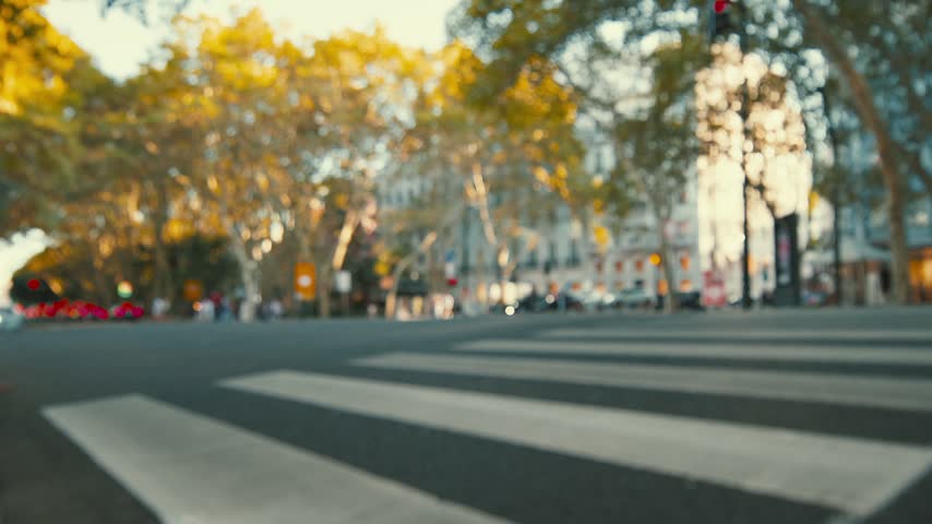 Blurry city street with crosswalk and trees