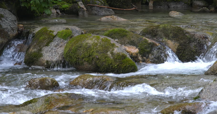 Summer landscape on a Dolomite stream