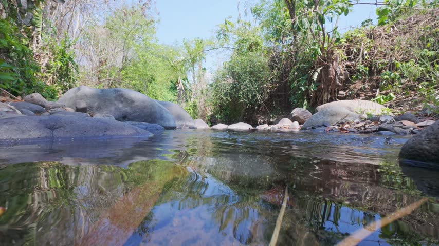 Peaceful River Flowing Through Rocky Forest Landscape