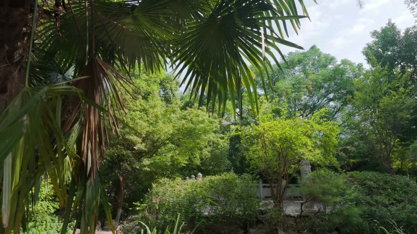 Nanjing, China - September 25th 2026 - Photo of timber pavilion surrounded by dense garden foliage in a traditional Chinese courtyard.